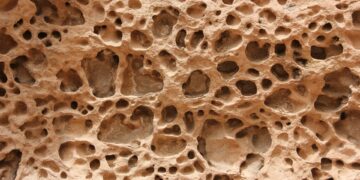 Which Hormone Boosts Calcium Absorption In The Gut?