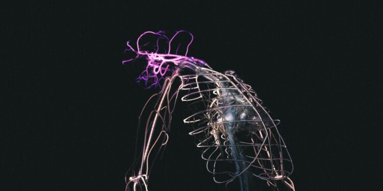 What Does The Parasympathetic Nervous System Trigger?