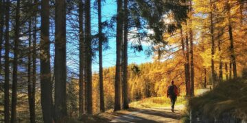 The Benefits Of Walking Where The Sidewalk Ends