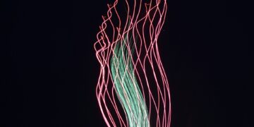 What Fatty Layer Insulates Nerves And Speeds Up Signals?