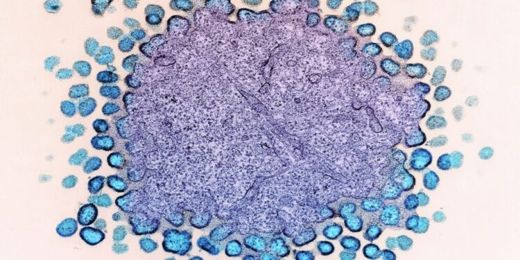 Which White Blood Cell Fights Parasitic Infections?