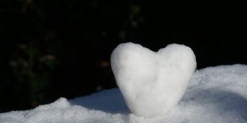 New Storage Method Promises Longer Donor Heart Lifespan