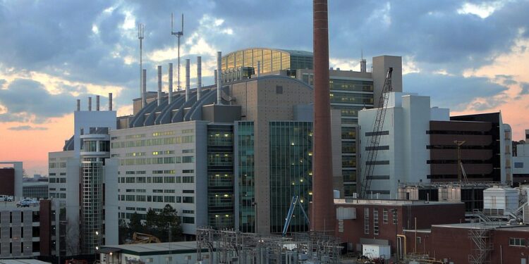 Laid-Off CDC Staff Get Surprise Comeback