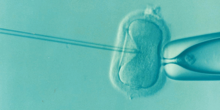Experts Reveal Ancient Practice To Reduce IVF Side Effects