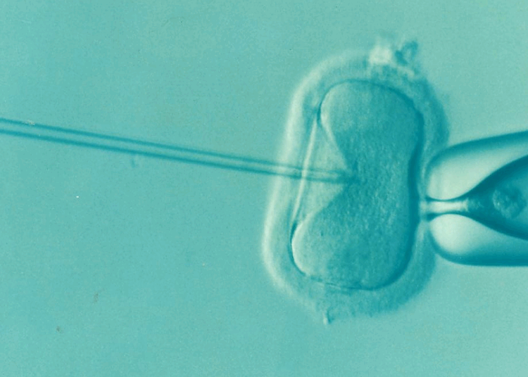 Experts Reveal Ancient Practice To Reduce IVF Side Effects