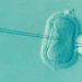 Experts Reveal Ancient Practice To Reduce IVF Side Effects