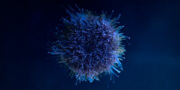 Immunotherapy Makes Major Strides In Cancer Fight