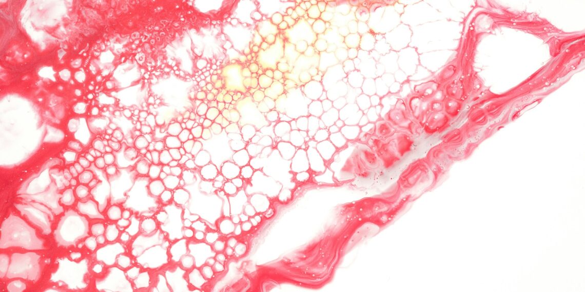 What Amino Acid Helps Produce Nitric Oxide For Vessel Dilation?