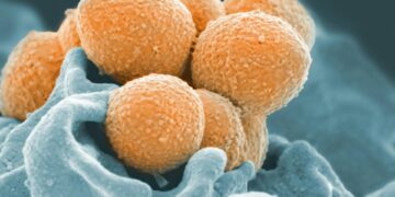 Fungal Contamination Prompts Major Recall