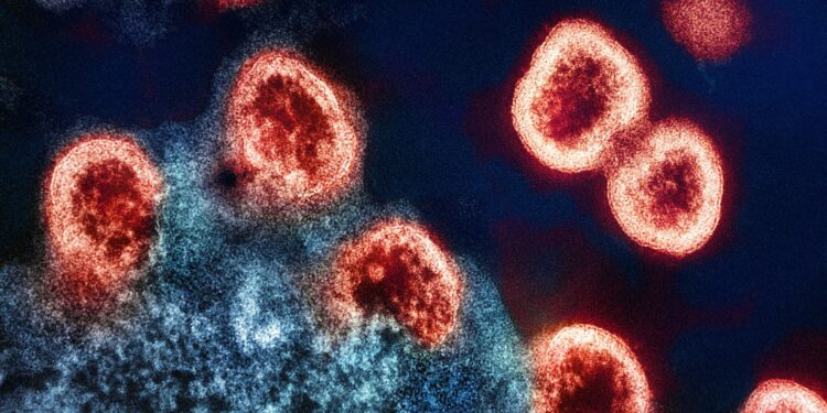 Blood Test Promises Pain-Free Celiac Diagnosis