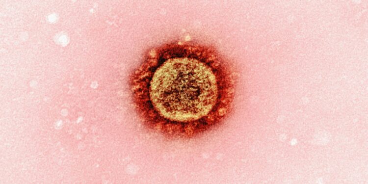 Breakthrough HIV Shot Could End Transmission