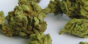 New Research Connects Marijuana To Heart-Related Deaths