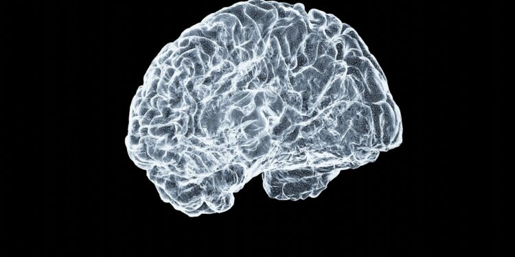 Which Brain Region Controls Circadian Rhythms Via Light?