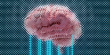 The Hidden Key To Long-Lasting Brain Power