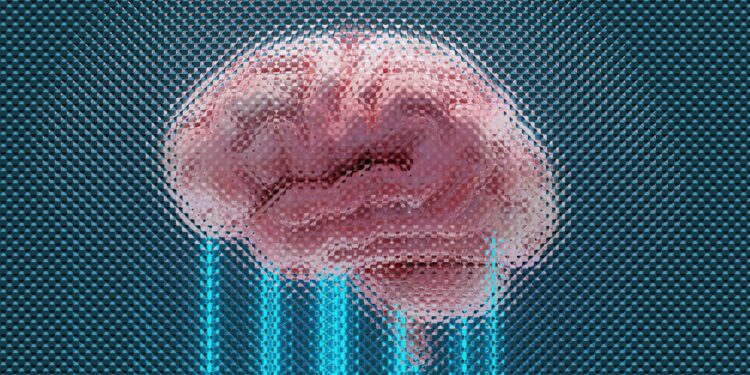 The Hidden Key To Long-Lasting Brain Power